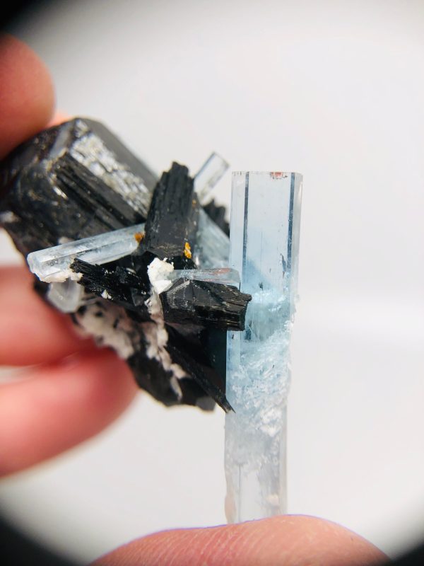 Aquamarine w  Schorl Tourmaline, Namibia Supply