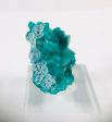 Dioptase Specimen, DRC on Sale