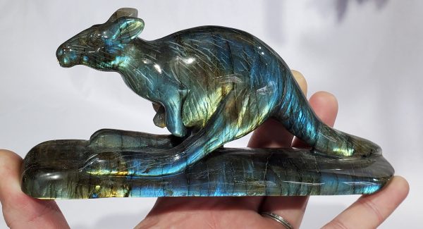 Labradorite Kangaroo Online