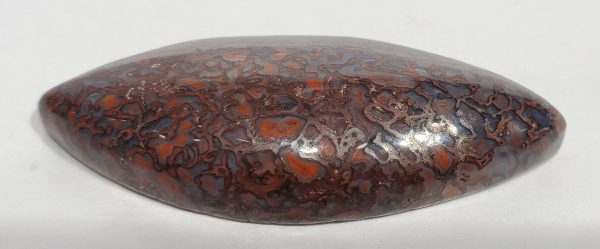 Dinosaur Bone Cabochon For Cheap