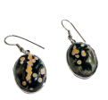 Ocean Jasper Earrings, Sterling Silver For Cheap