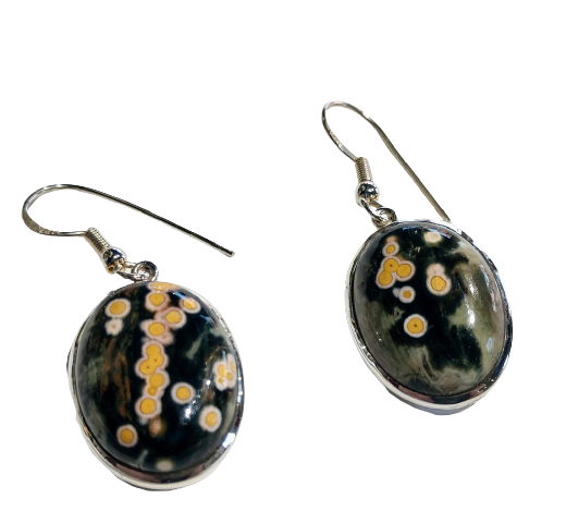 Ocean Jasper Earrings, Sterling Silver For Cheap