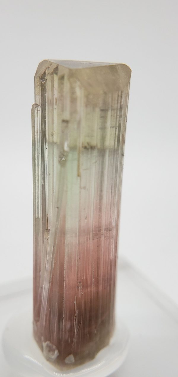 Bi-Colored Tourmaline,  California Discount