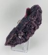 Rubellite Tourmaline on Lepidolite w  Quartz Hot on Sale