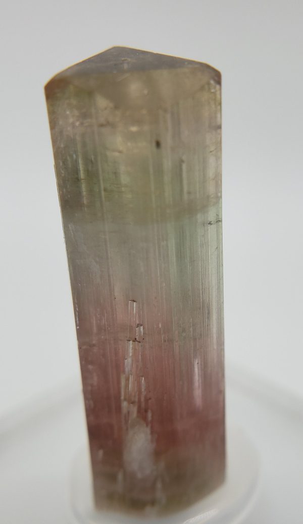 Bi-Colored Tourmaline,  California Discount