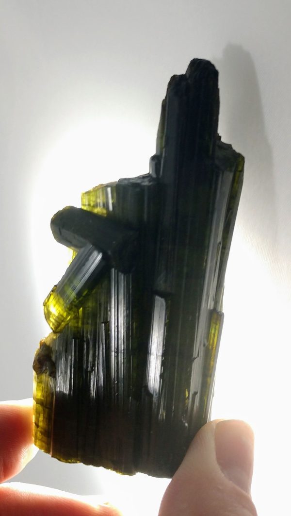 Bi-color Tourmaline Hot on Sale