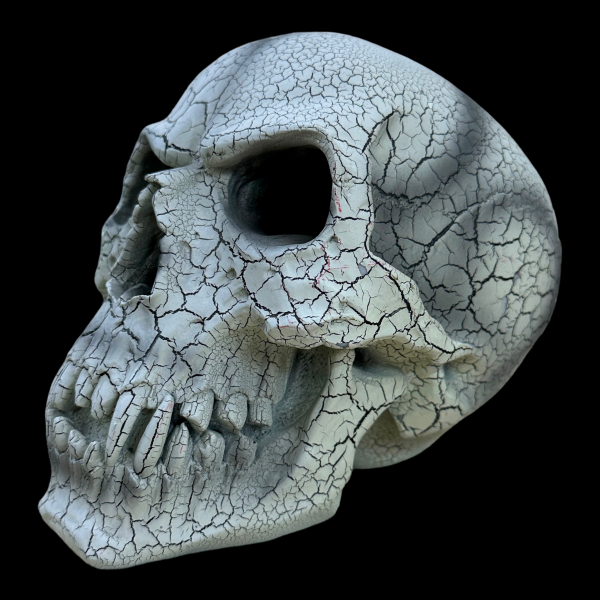 Vampire Skull Online Sale