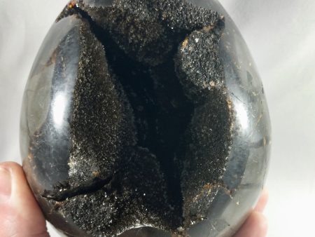 Septerian Egg, Madagascar For Cheap