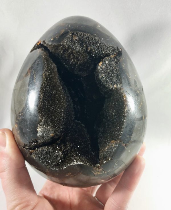 Septerian Egg, Madagascar For Cheap