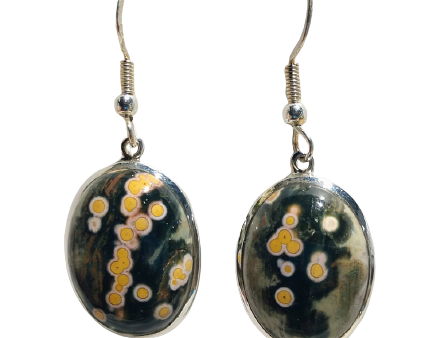 Ocean Jasper Earrings, Sterling Silver For Cheap