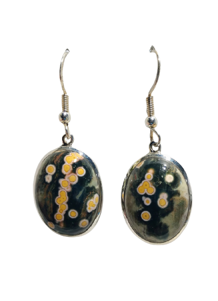 Ocean Jasper Earrings, Sterling Silver For Cheap