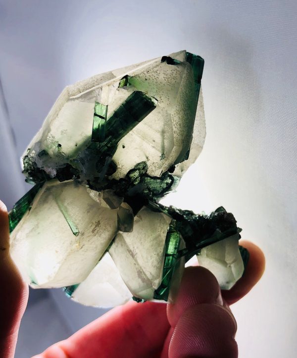 Quartz with Green Tourmaline Fashion