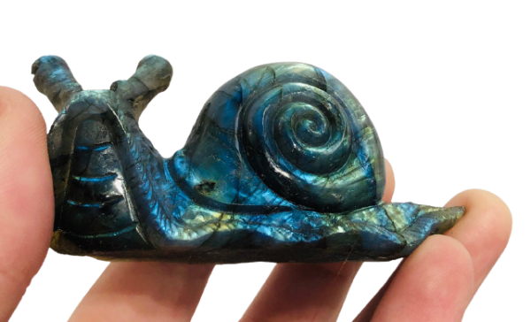 Labradorite Snail Carving Cheap