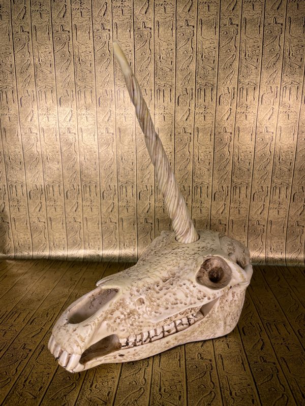 Unicorn Skull Discount