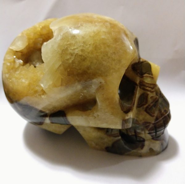 Septerian Skull 1.11kg Supply