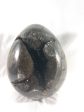 Septerian Egg, Madagascar For Cheap