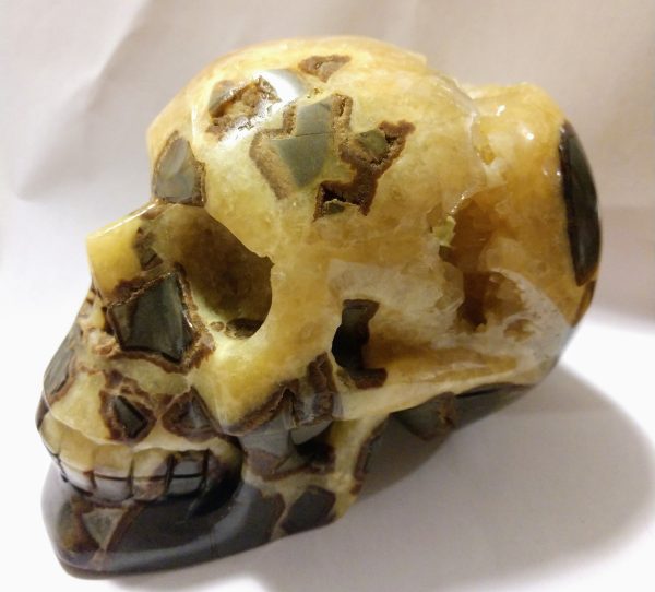 Septerian Skull 1.11kg Supply