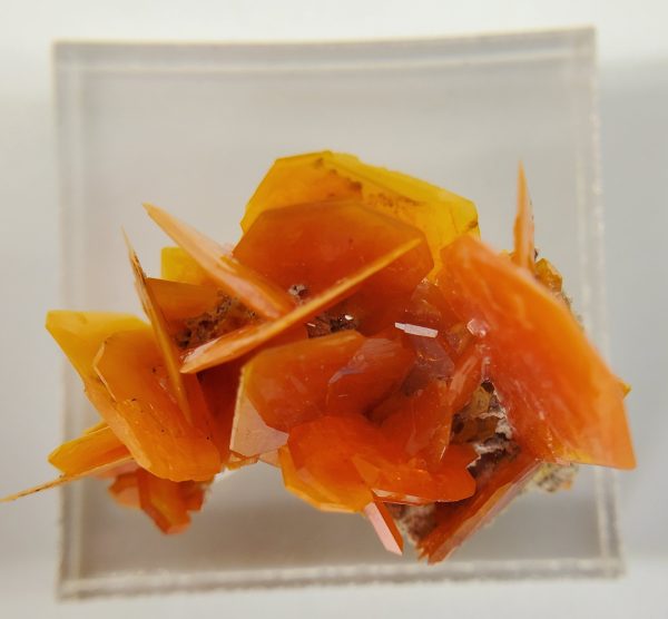 Wulfenite, Morocco Online now