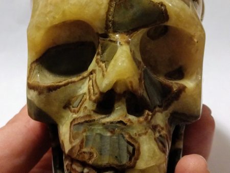 Septerian Skull 1.11kg Supply