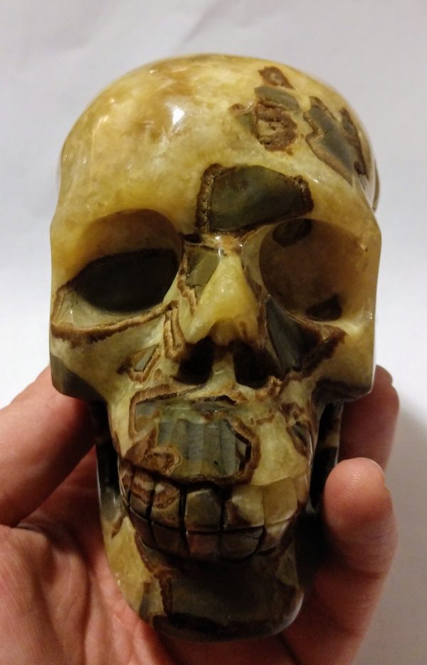 Septerian Skull 1.11kg Supply