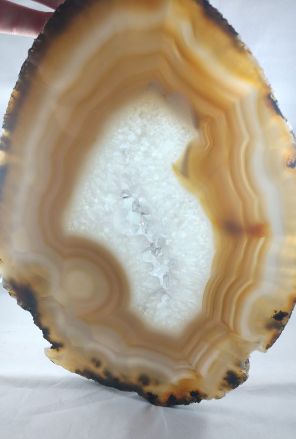 Agate Slice on Custom Wood Stand, Brasil For Discount