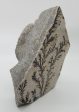 Dendrite and Limestone, Utah For Sale