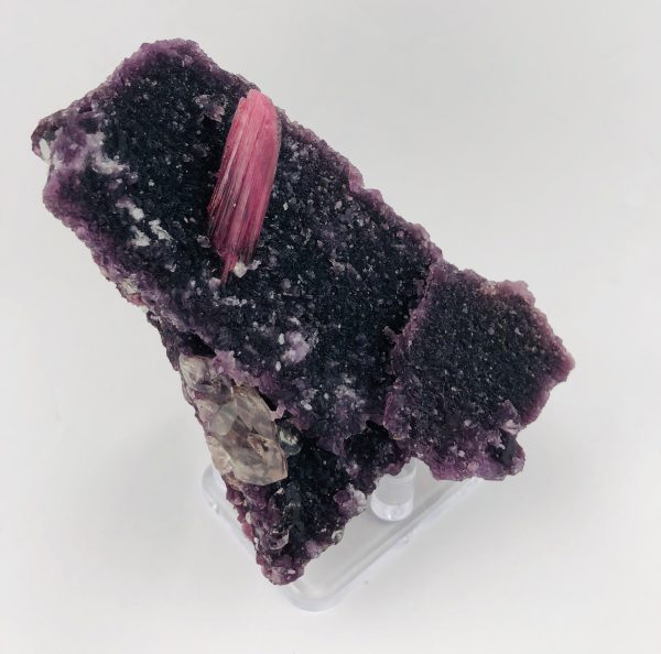 Rubellite Tourmaline on Lepidolite w  Quartz Hot on Sale