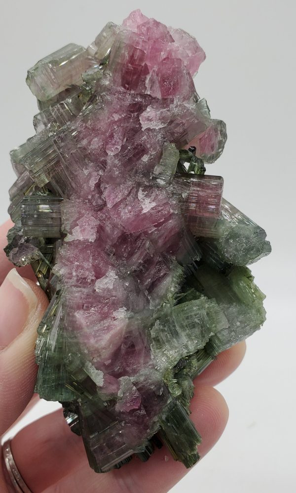 Bi-Colored Tourmaline Online Sale