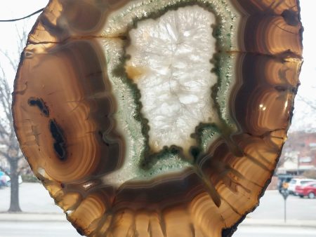 Agate Slice on Custom Wood Stand, Brasil Hot on Sale