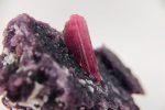 Rubellite Tourmaline on Lepidolite w  Quartz Hot on Sale