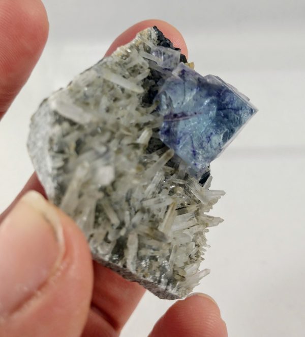 Fluorite on Quartz Hot on Sale