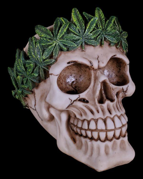 Cannabis King Skull For Discount