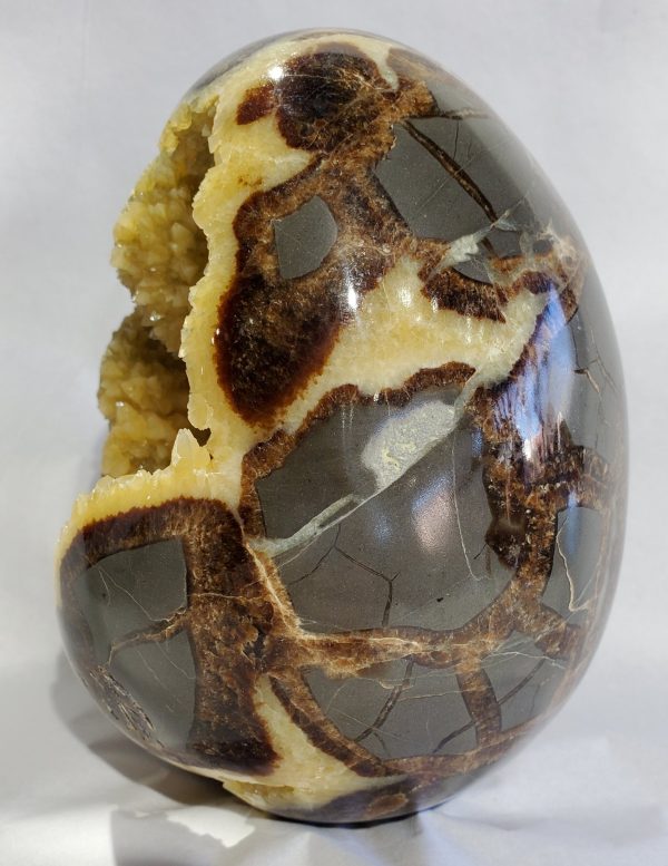 Septerian Egg, Utah Cheap