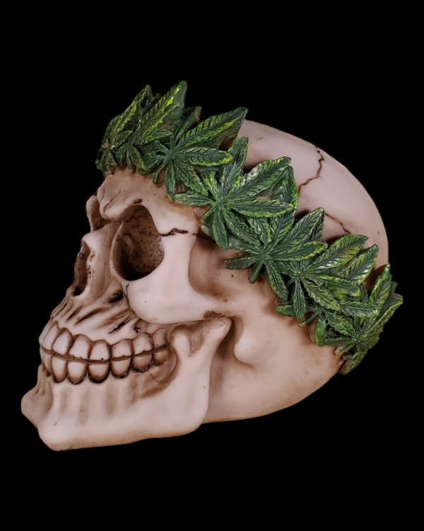 Cannabis King Skull For Discount