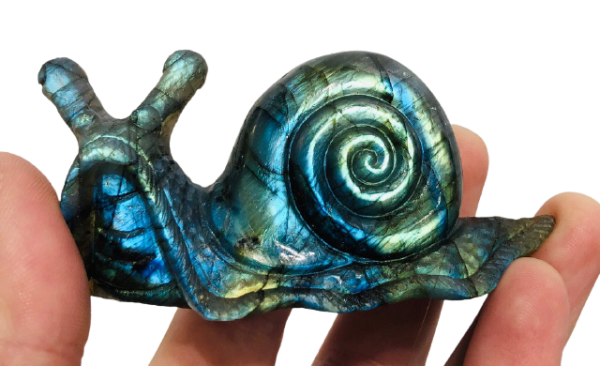 Labradorite Snail Carving Cheap