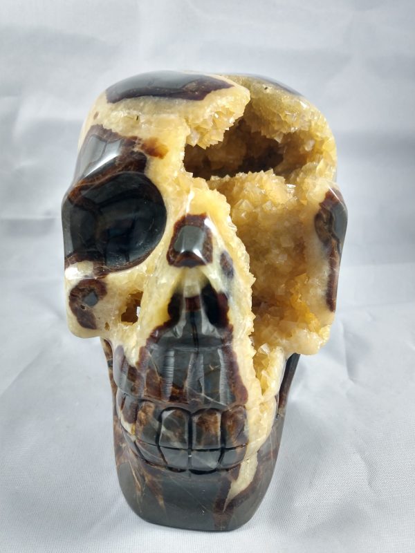 Septerian Skull Sale