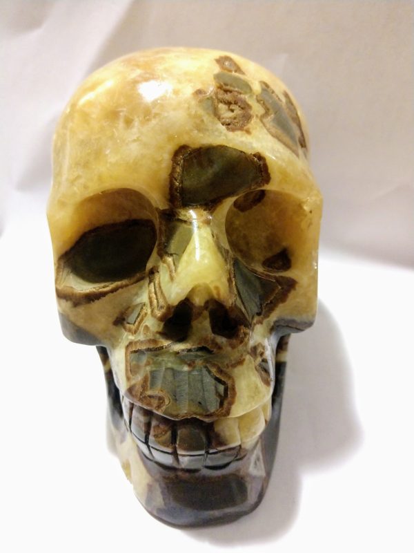 Septerian Skull 1.11kg Supply