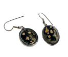 Ocean Jasper Earrings, Sterling Silver For Cheap