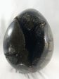 Septerian Egg, Madagascar For Cheap