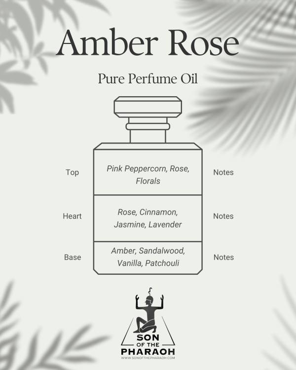 Amber Rose Perfume Oil Fashion