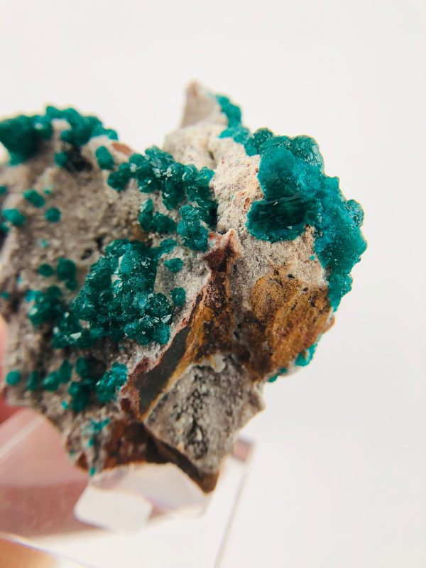 Dioptase, Dolomite on Sale