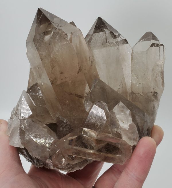 Smoky Quartz Cluster, Brasil Supply