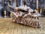 Dragon Skull Incense Burner Box Hot on Sale