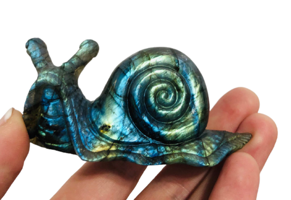 Labradorite Snail Carving Cheap