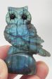 Labradorite Owl Carving For Discount