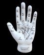 Fortune Teller Hand Statue Online Sale