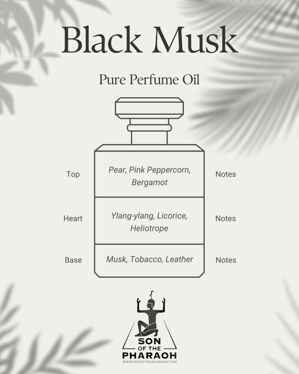 Black Musk Perfume Oil Cheap