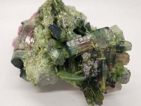 Bi-Colored Tourmaline Online Sale