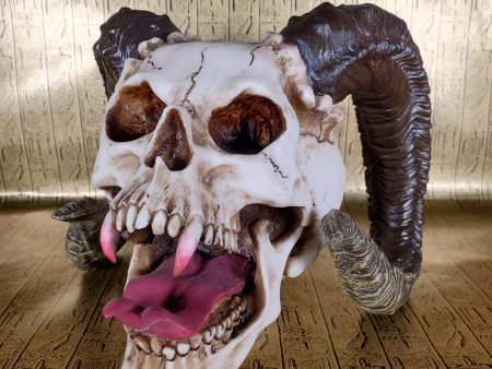 Ram Horned Skull Supply