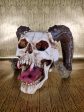 Ram Horned Skull Supply